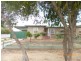29 Bice Street, Barmera SA 5345