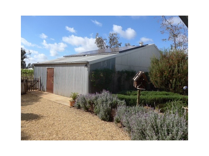 201 Dunstone Road, Barmera SA 5345