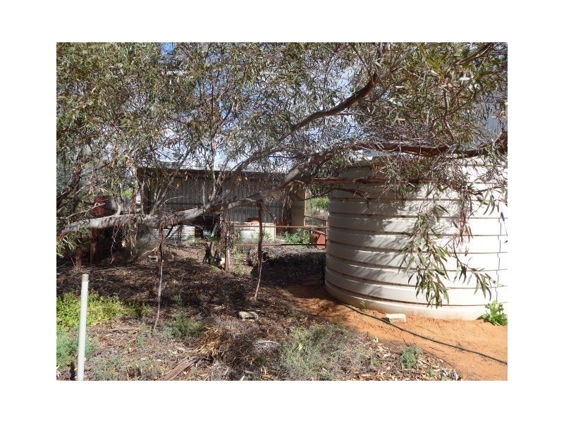 201 Dunstone Road, Barmera SA 5345