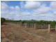 201 Dunstone Road, Barmera SA 5345
