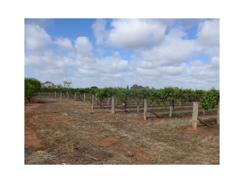 201 Dunstone Road, Barmera SA 5345