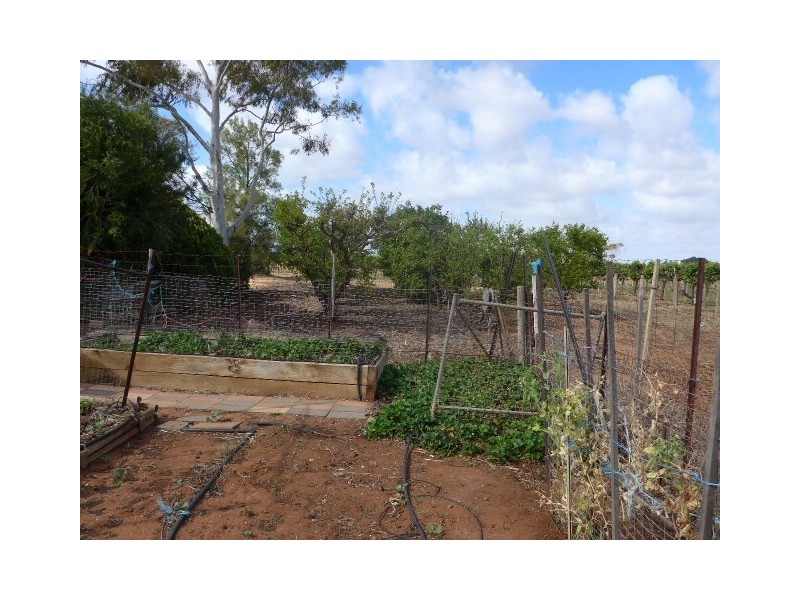 201 Dunstone Road, Barmera SA 5345