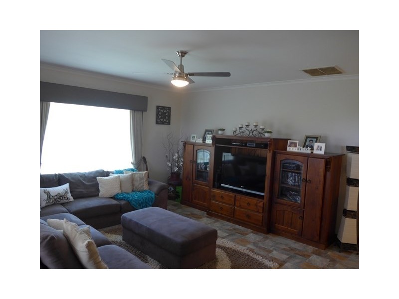 233 McKenzie Road, Barmera SA 5345