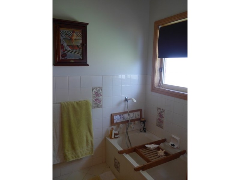 233 McKenzie Road, Barmera SA 5345