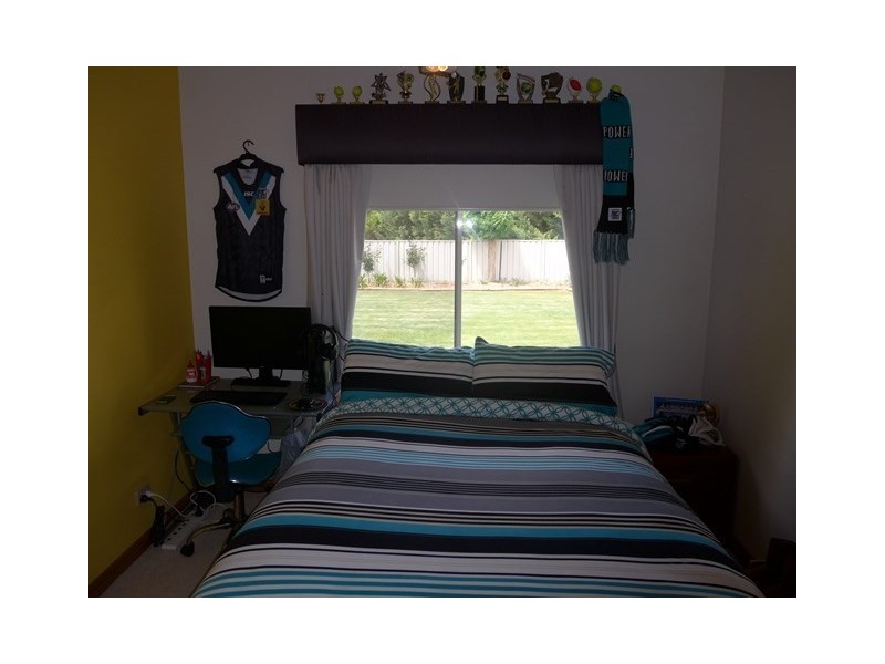 233 McKenzie Road, Barmera SA 5345