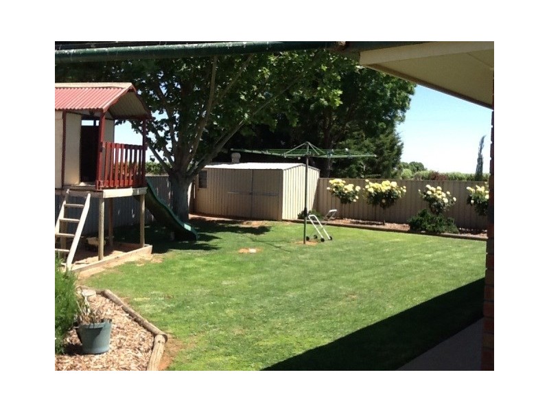 233 McKenzie Road, Barmera SA 5345