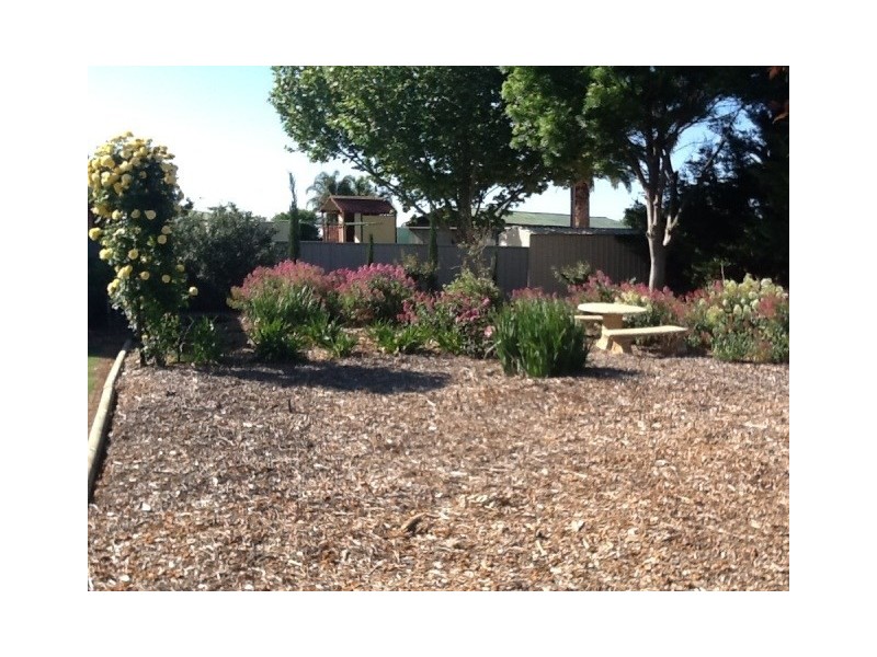 233 McKenzie Road, Barmera SA 5345