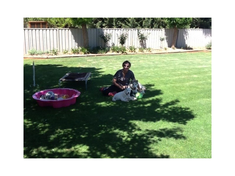 233 McKenzie Road, Barmera SA 5345