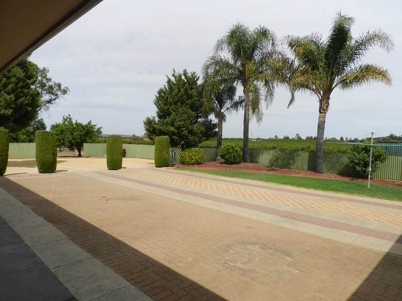 696 Old Sturt Highway, Glossop SA 5344