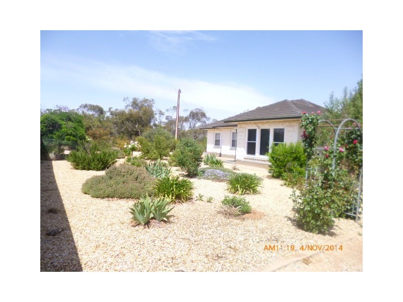 116 Maggea Road, Waikerie SA 5330