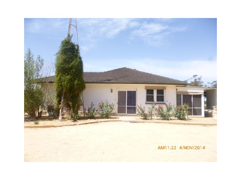 116 Maggea Road, Waikerie SA 5330