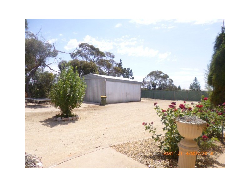 116 Maggea Road, Waikerie SA 5330