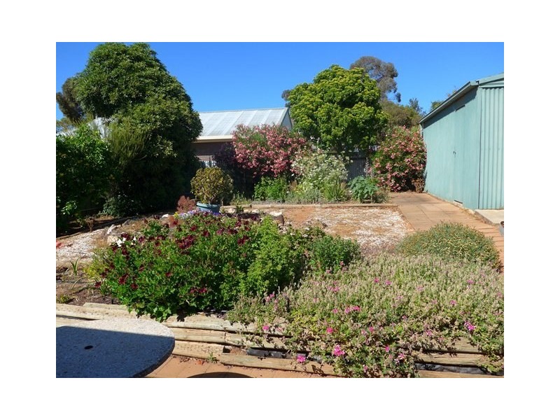 83 Derrick Street, Berri SA 5343