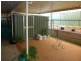 9A Bice Street, Barmera SA 5345