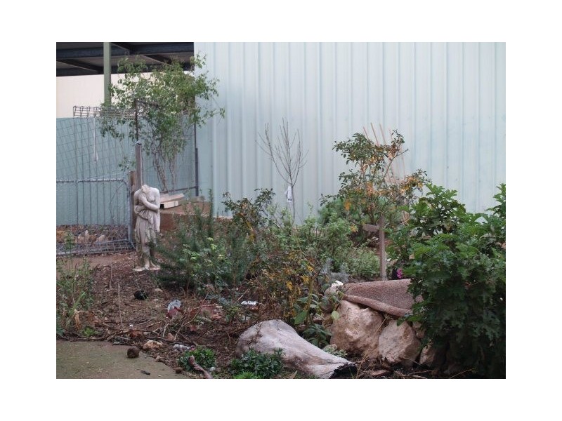 9 Federal Street, Morgan SA 5320