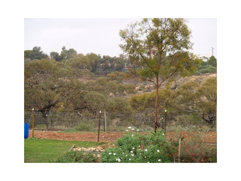 9 Federal Street, Morgan SA 5320