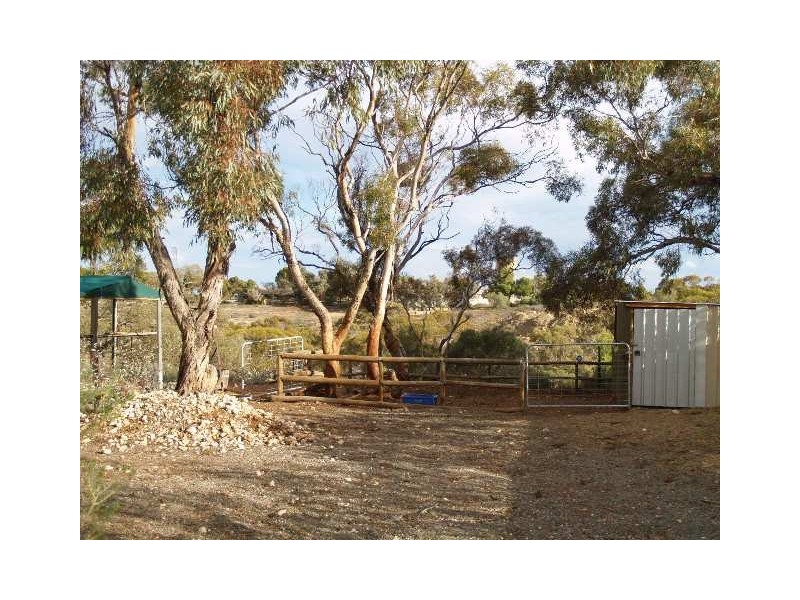 9 Federal Street, Morgan SA 5320