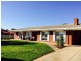 19 Thiele Avenue, Loxton SA 5333
