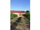 161 Farley Road, Kingston On Murray SA 5331
