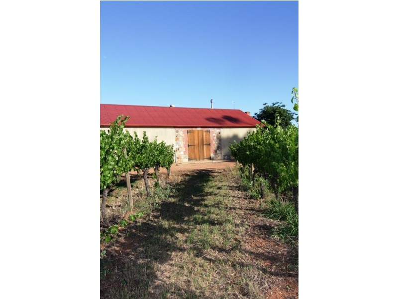 161 Farley Road, Kingston On Murray SA 5331