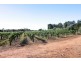161 Farley Road, Kingston On Murray SA 5331