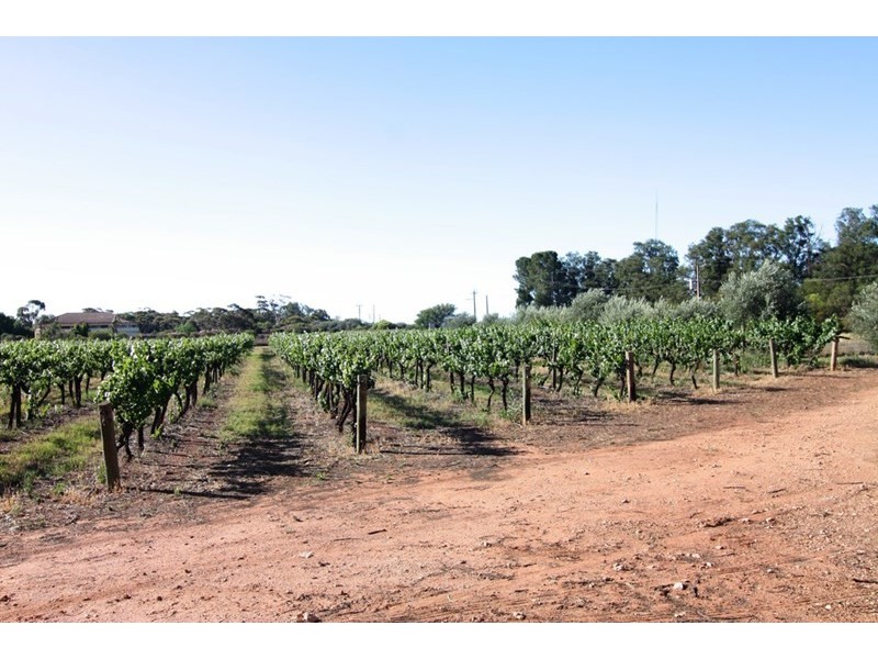 161 Farley Road, Kingston On Murray SA 5331