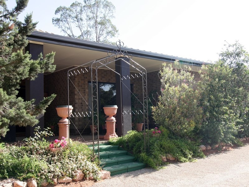 17 Trenerry Avenue, Loxton SA 5333