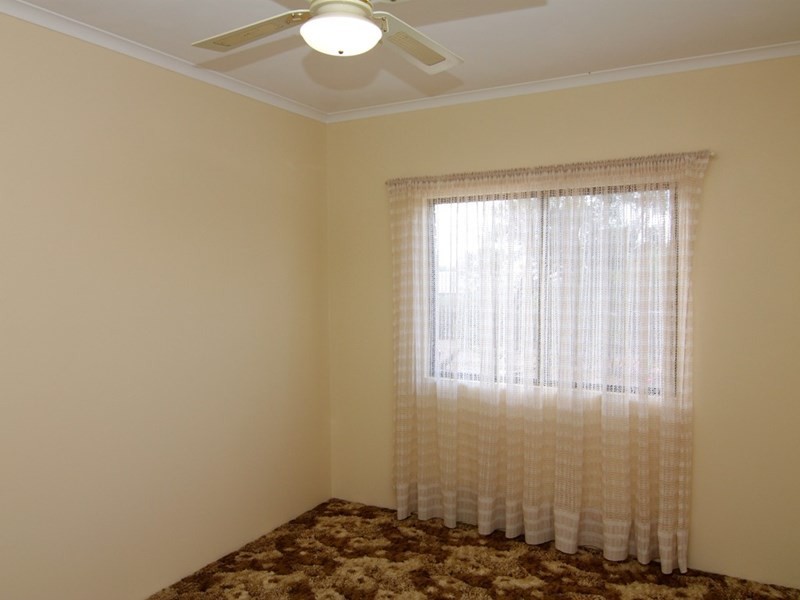 17 Trenerry Avenue, Loxton SA 5333