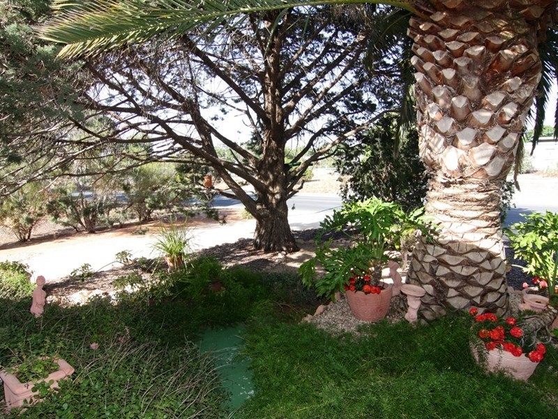 17 Trenerry Avenue, Loxton SA 5333