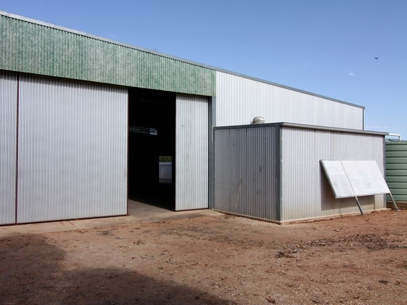 17 Trenerry Avenue, Loxton SA 5333