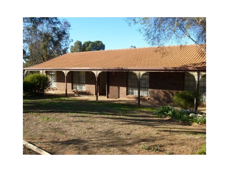 12 Westbrook Avenue, Loxton SA 5333