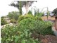 19A William Street, Loxton SA 5333
