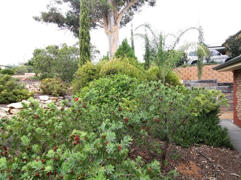 19A William Street, Loxton SA 5333