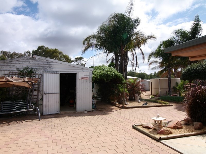 26 Gillespie Road, Barmera SA 5345