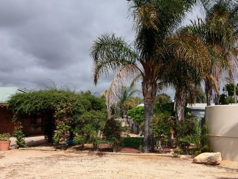26 Gillespie Road, Barmera SA 5345