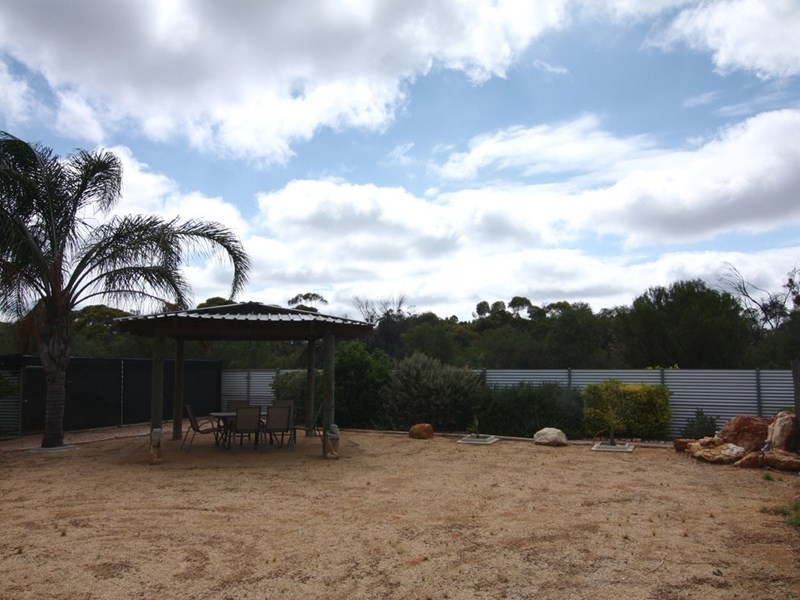 26 Gillespie Road, Barmera SA 5345