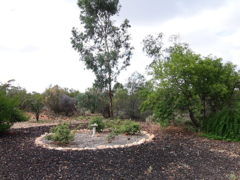 26 Gillespie Road, Barmera SA 5345