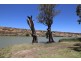 Lot 16 Pelican Point, Morgan SA 5320