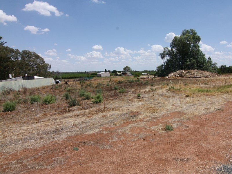 13 Fenwick Road, Berri SA 5343