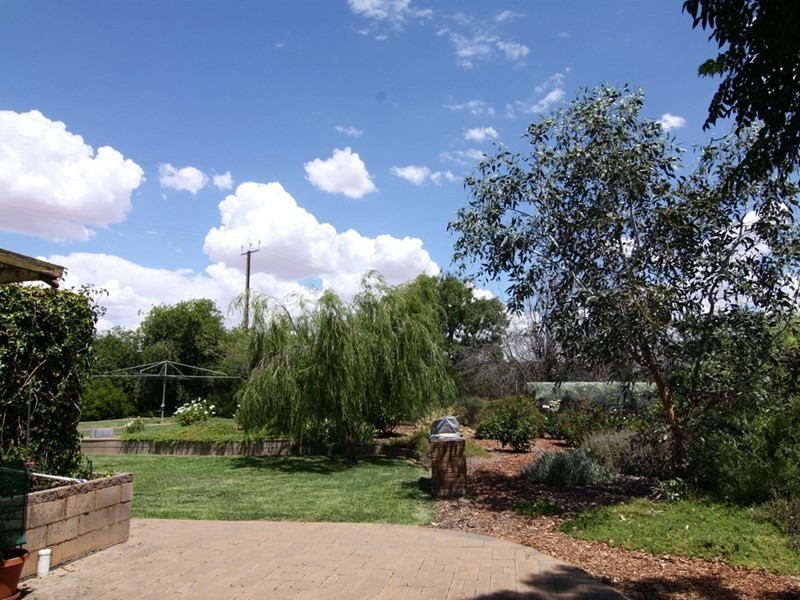 16 Anderson Road, Loxton North SA 5333