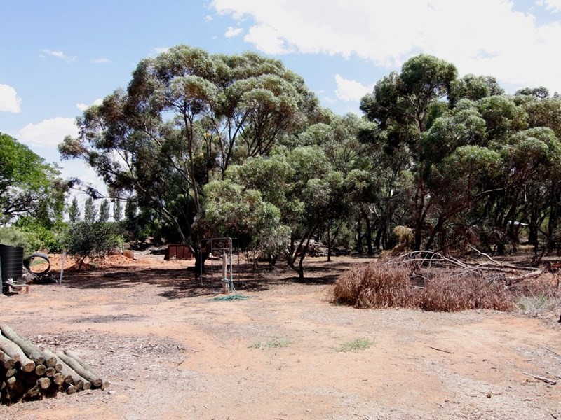 16 Anderson Road, Loxton North SA 5333