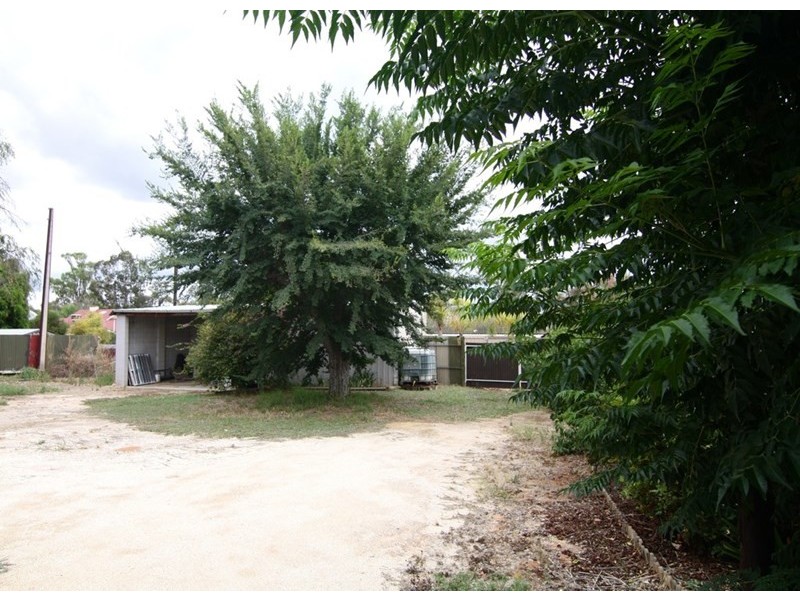 24 Laffer Street, Barmera SA 5345