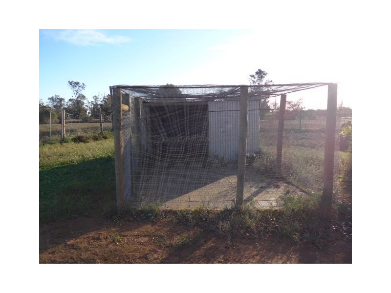 1295 Fogden Road, Loxton SA 5333