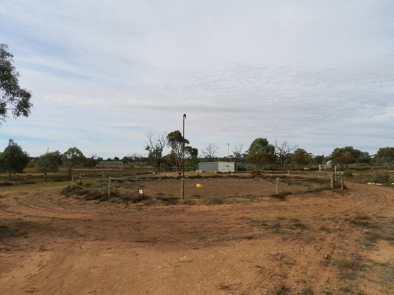1295 Fogden Road, Loxton SA 5333