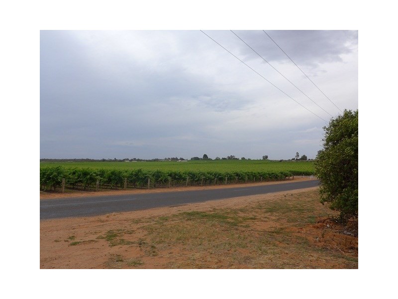 67 Lobban Road, Monash SA 5342