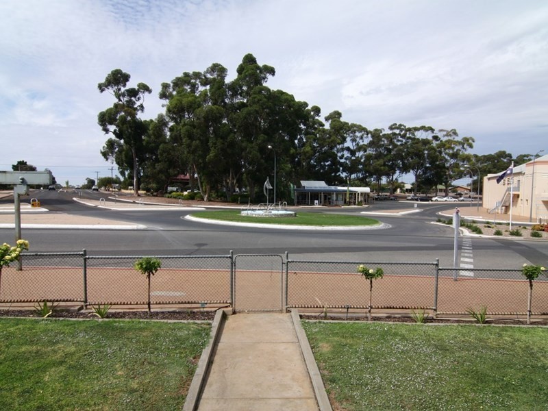 3 Barwell Avenue, Barmera SA 5345