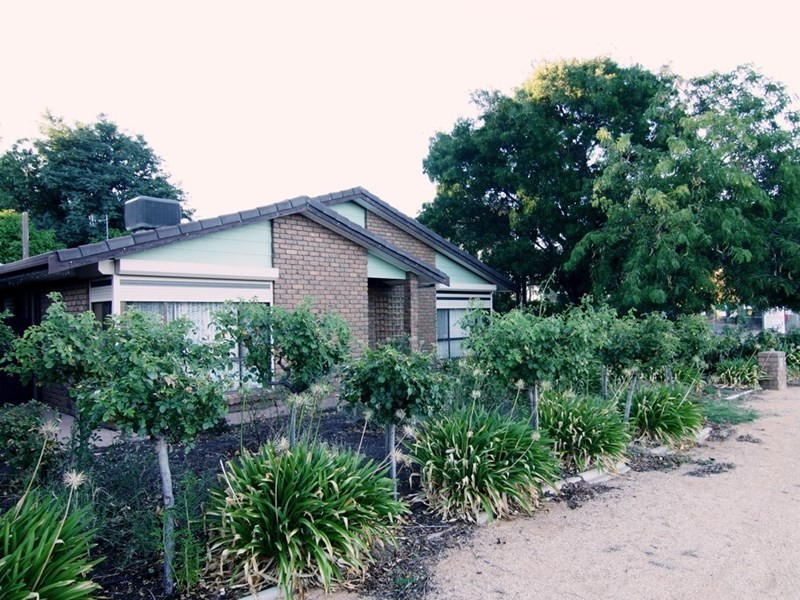 2 Hall Crescent, Loxton SA 5333