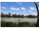 7 Idyll Avenue, Morgan SA 5320