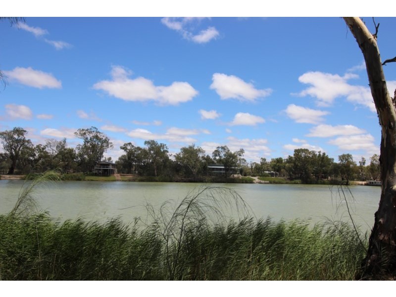 7 Idyll Avenue, Morgan SA 5320