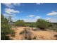 7 Idyll Avenue, Morgan SA 5320